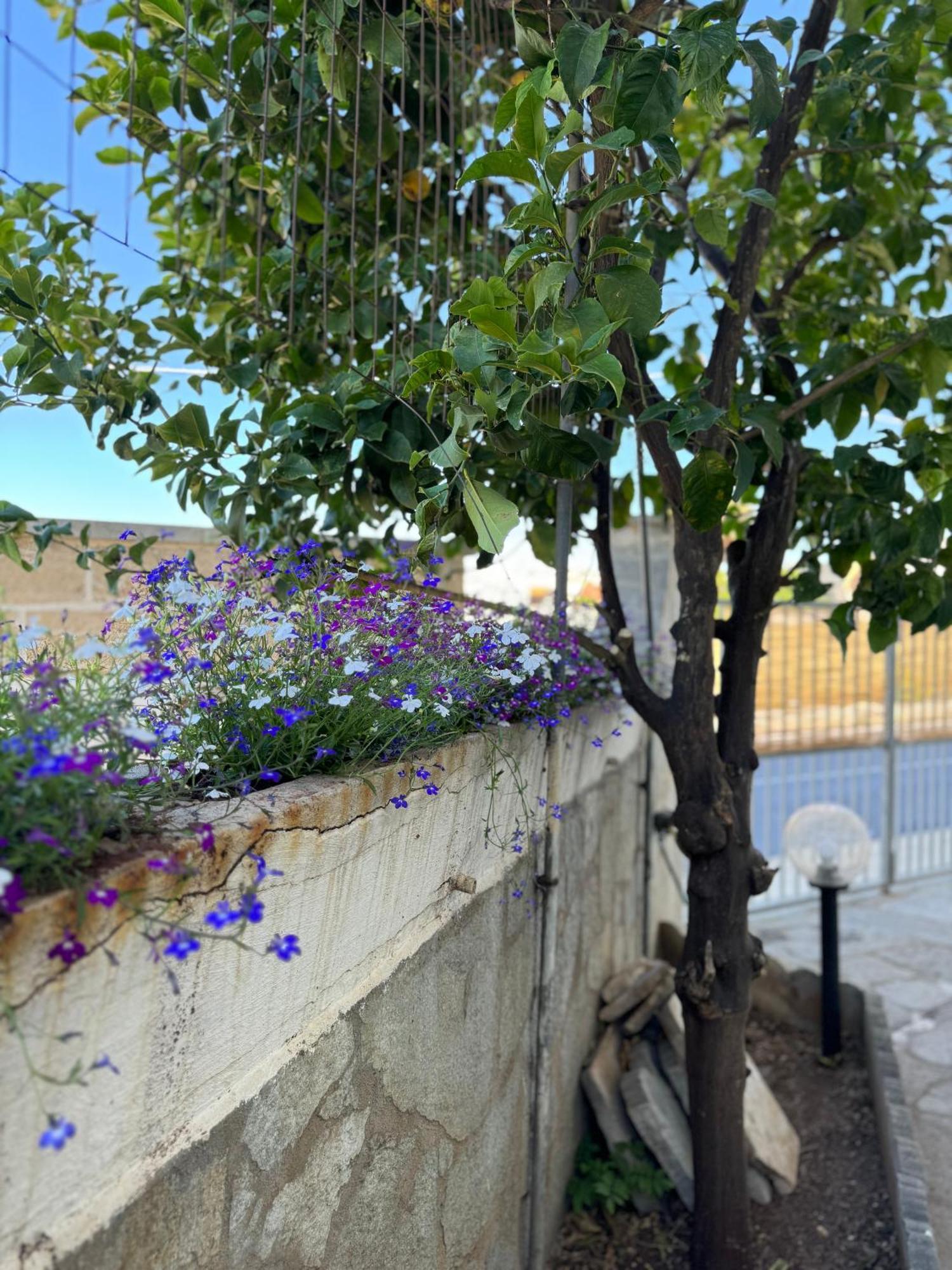 Frida'S Daire Nardò Dış mekan fotoğraf